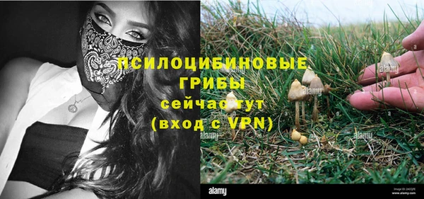 дурь Армянск