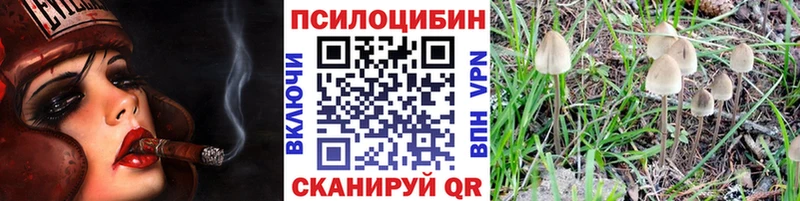 это состав где купить наркоту Сибай Галлюциногенные грибы мицелий